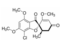 灰黃霉素 