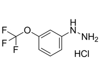 3-三氟甲氧基苯肼鹽酸鹽,98%(HPLC)