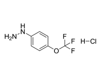 4-三氟甲氧基苯肼鹽酸鹽，98%（HPLC） 