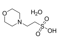 2-(N-嗎啉)乙磺酸一水合物,99%