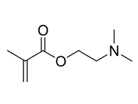 甲基丙烯酸二甲氨乙酯，99% 