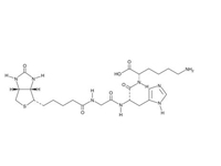 生物素三肽-1 (生發(fā)肽)，98% 