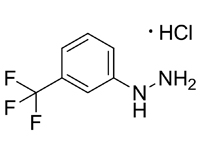 3-（三氟甲基）苯肼鹽酸鹽，98%（HPLC） 