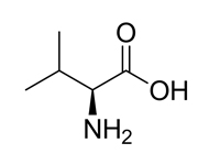 L-纈氨酸，99% 