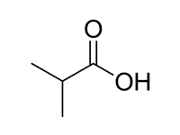 異丁酸，CP，98.5% 