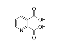 2，3-吡啶二羧酸, 99%（GC） 
