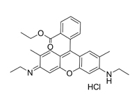 羅丹明6G，BS 